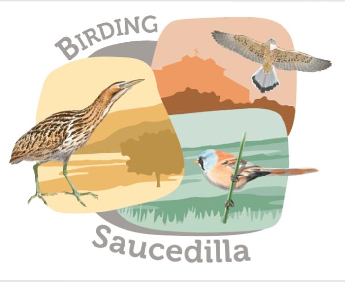 Birding Saucedilla