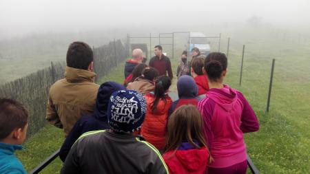 Imagen Jornada Día de los Humedales en el Parque Ornitológico de Arrocampo